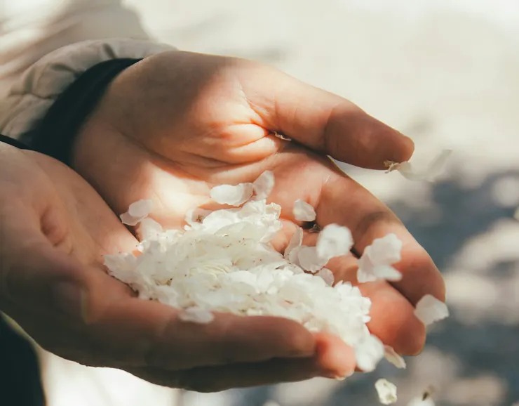 Photo by Anthony Ievlev on Unsplash