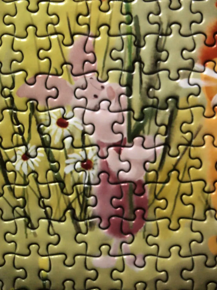 有點模糊的Piglet。