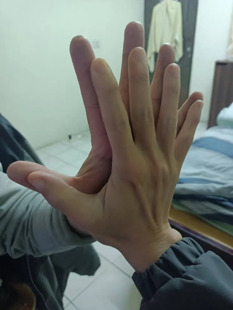 比較小的那個是我的手XD