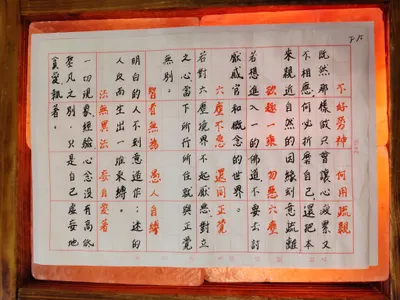  📿《Amana的行腳禪日記｜13｜不著好惡，心自澄明》