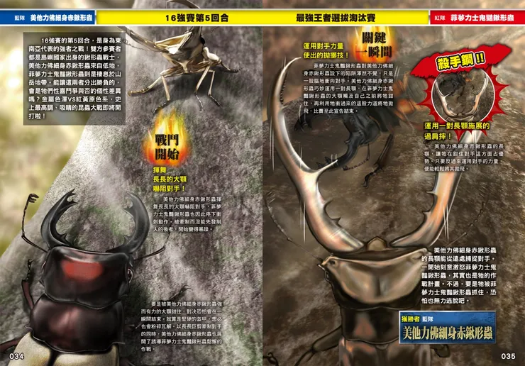 用巨大的雙鍬對決！｜《最強戰鬥２：鍬形蟲大王×獨角仙大王超級大戰圖鑑》｜小角落文化出版