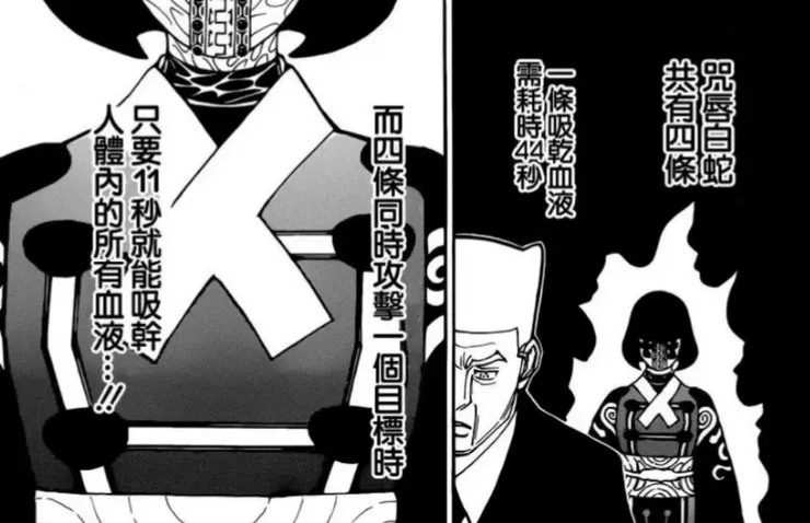 暗殺者的念能力：名為「第十一人」(沉默的多數)，利用「咒唇白蛇」吸乾被害人的血液而亡。