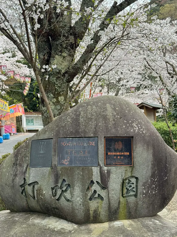 賞櫻的百大名所