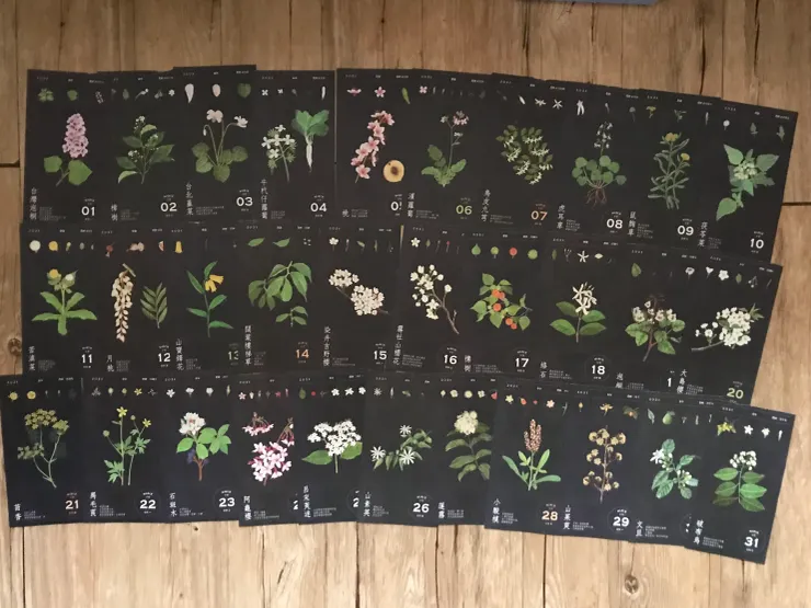 3月的種籽花曆明顯有春天的氣息