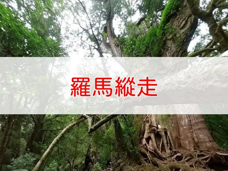 【台中】羅馬縱走(羅葉尾山、馬武佐野郡山) | 全長里程：約10公里 | 難易度：中級