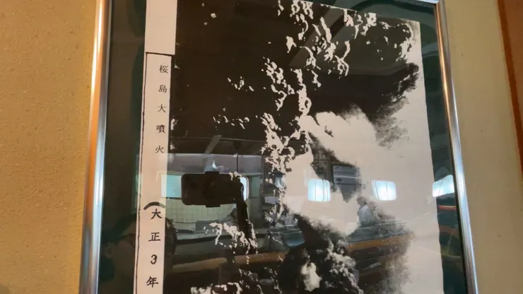 餐廳さつま味中，也張貼了1914年噴發的照片。