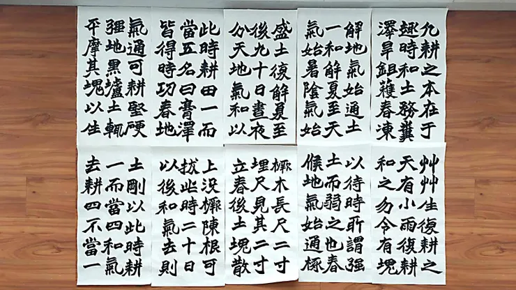 【臨趙之謙書齊民要術】