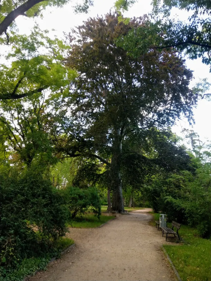 寧靜自然的公園