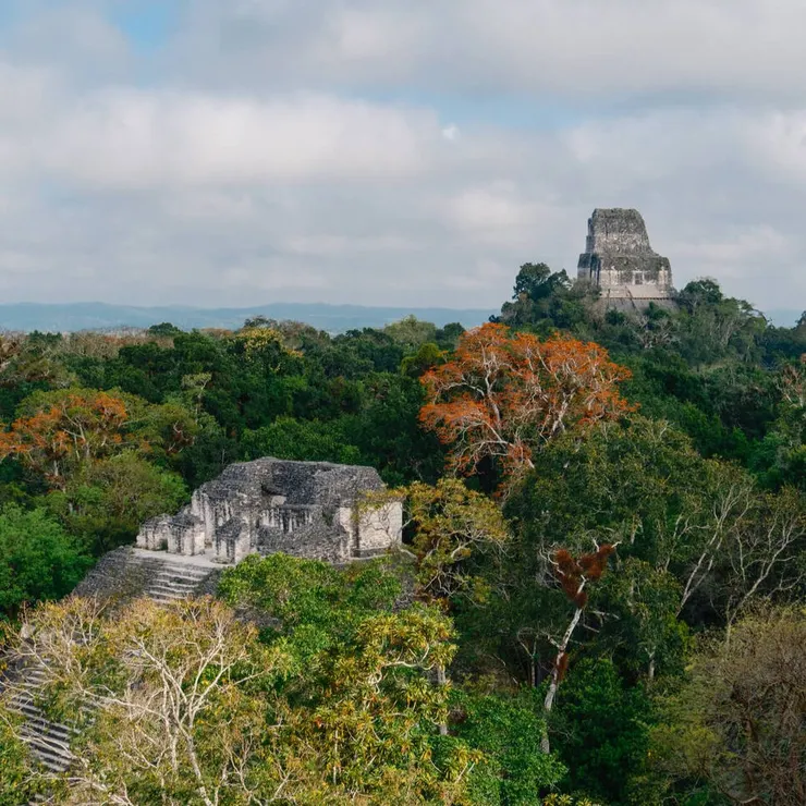 我們被導遊帶上一座遺跡旁的木造高台,風景非常美,這個畫面前方是蒂卡爾的失落的世界,後方則是 4 號神廟。