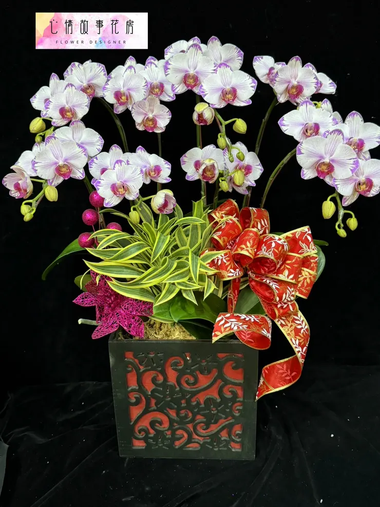 台南在地三十年｜心情故事花房提供八大多樣化花卉商品，從高雅蘭花到永生花，全方位滿足您的需求，品質保證、送達迅速