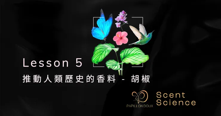 papillondoux香味的科學 L5 推動人類歷史的香料 - 胡椒