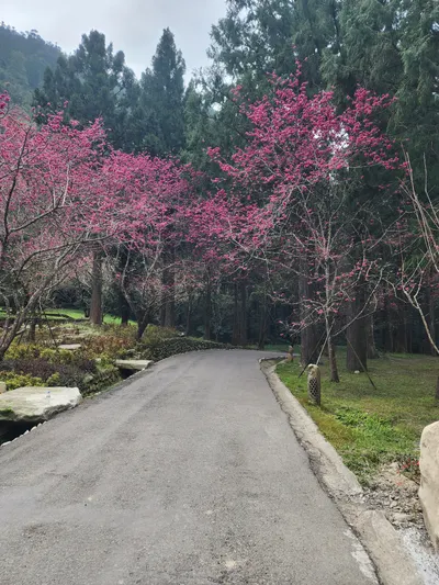 《我忘了你做錯什麼，但我還在生氣》