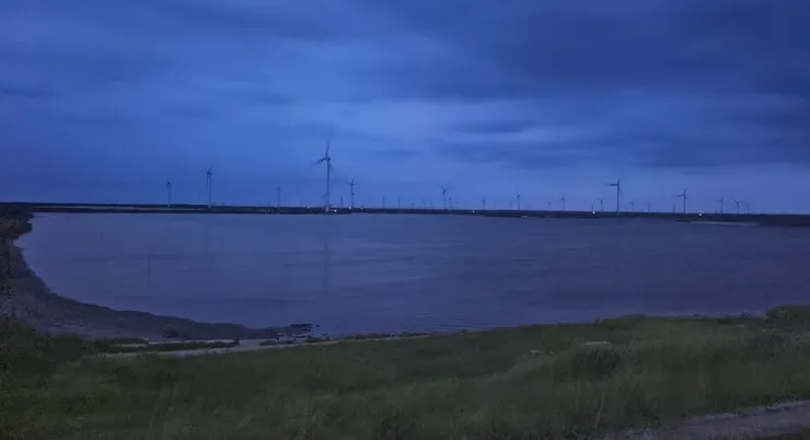 大丰港濕地自拍