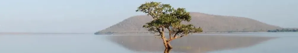 普賢行、觀音慈、地藏願的沙龍