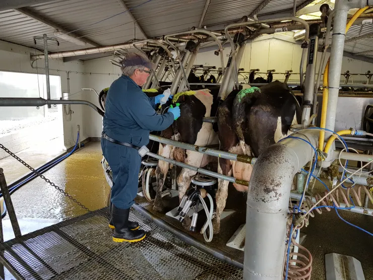 直銷新聞網--賜多利公司以專利的26合一疫苗接種乳牛,誘導出特定免疫球蛋白G。