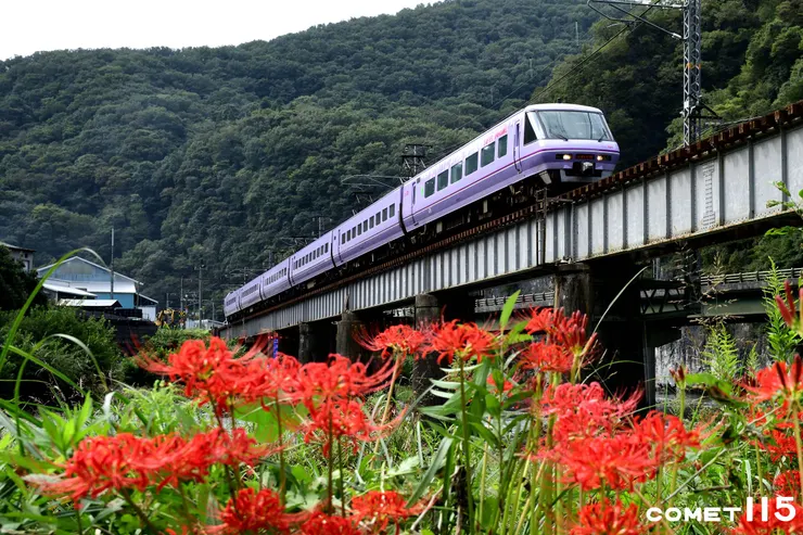 井倉車站附近的第七高梁川橋北端可以從低角度拍攝，季節對了還有火紅的彼岸花可以納入構圖(座標：34.925611,133.521002)