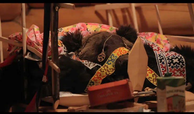 熊節儀式（文化象徵）