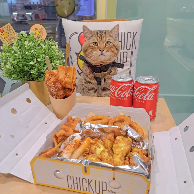 位於漢神百貨附近的 “小雞上樓” 曾在去年參加高雄啤酒音樂節獲得優勝 專賣韓式炸雞及其他小點和飲品 餐點份量多 平價CP值高 簡約的外帶包裝 方便好攜帶