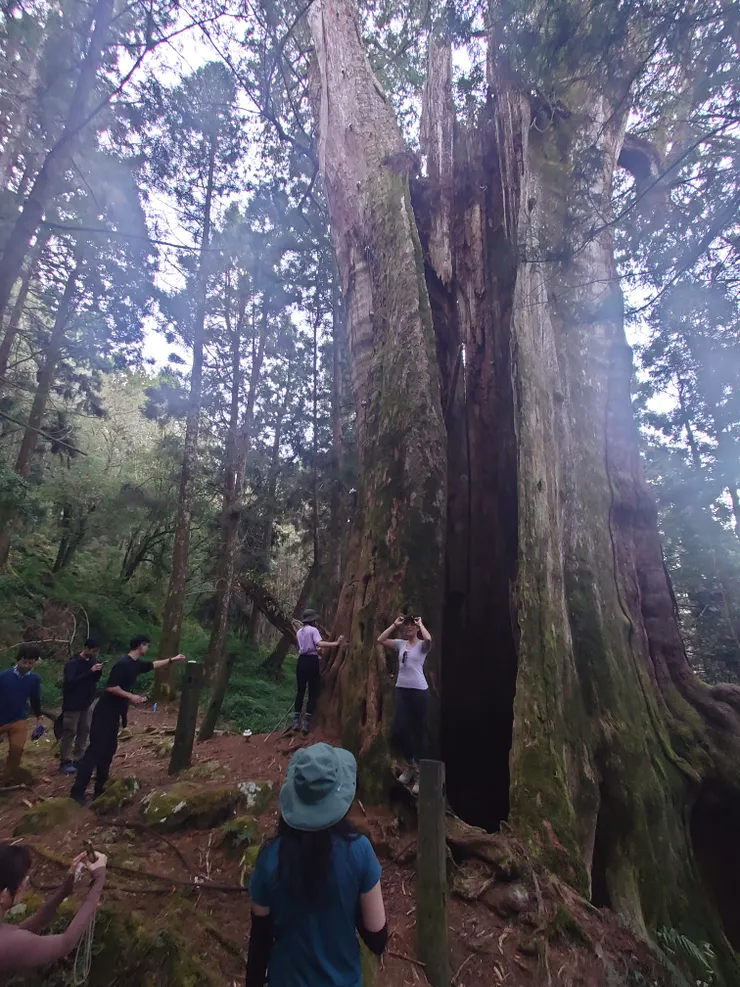 拍了大概1小時的照有
