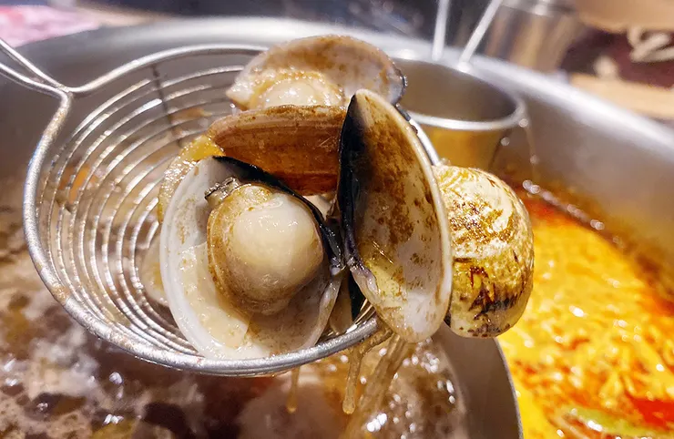  新莊火鍋推薦│大魔大滿足鍋物（新莊店）