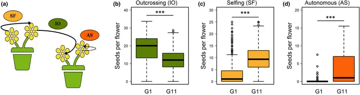 圖片來自New Phytologist