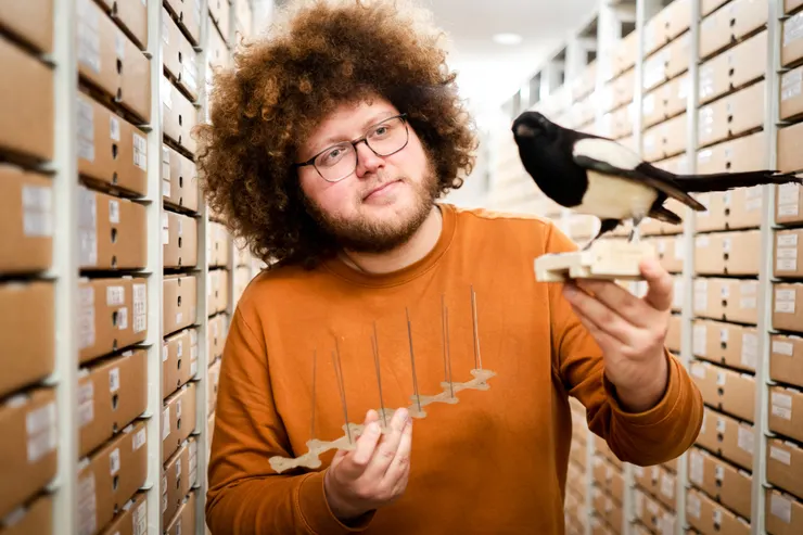 圖片來源：twitter/ @AukeFlorian