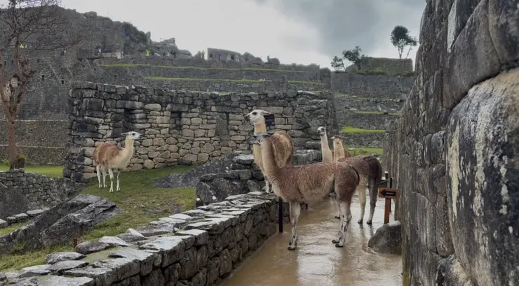 繼續前行，遇見馬丘比丘NPC