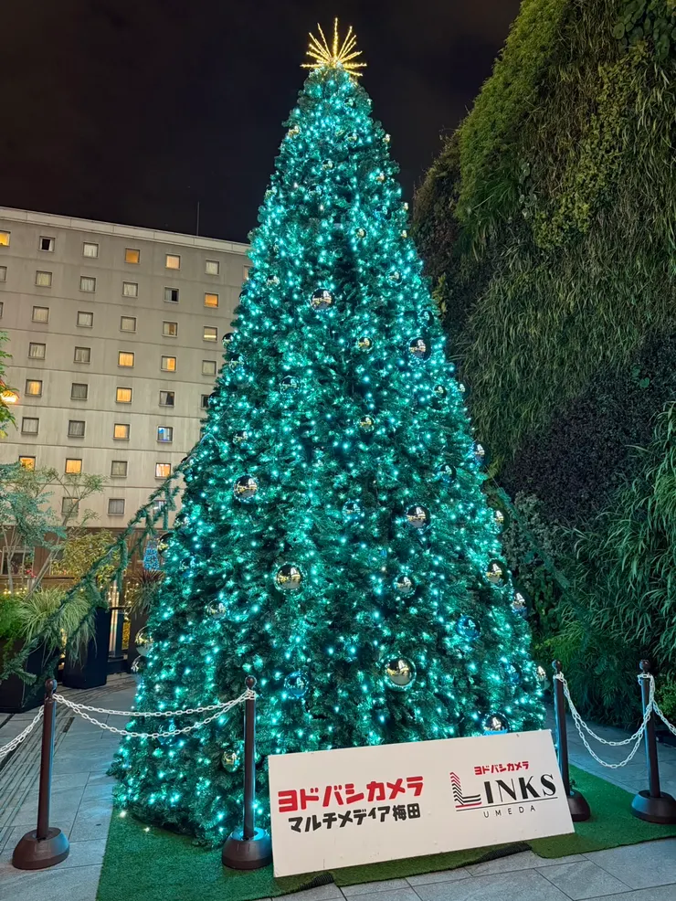 它在星巴克的轉角，也很多人在拍他，重點是那時正在下雨，我們是去附近買個熱美式暖暖身子。