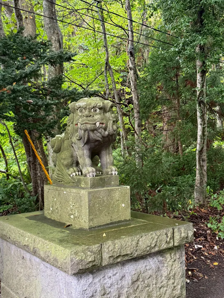 眼睛瞪大大的石獅很可愛