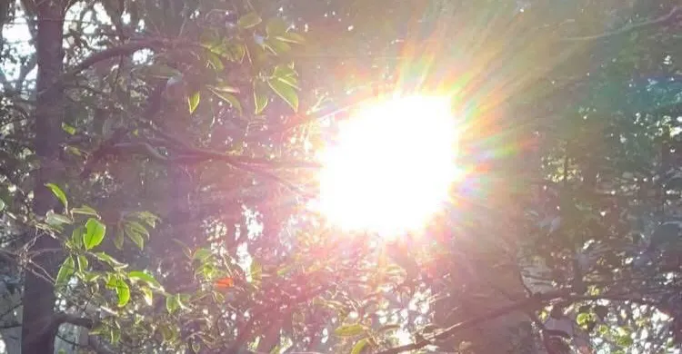 心之宇宙智慧療癒—催眠、療癒、占卜