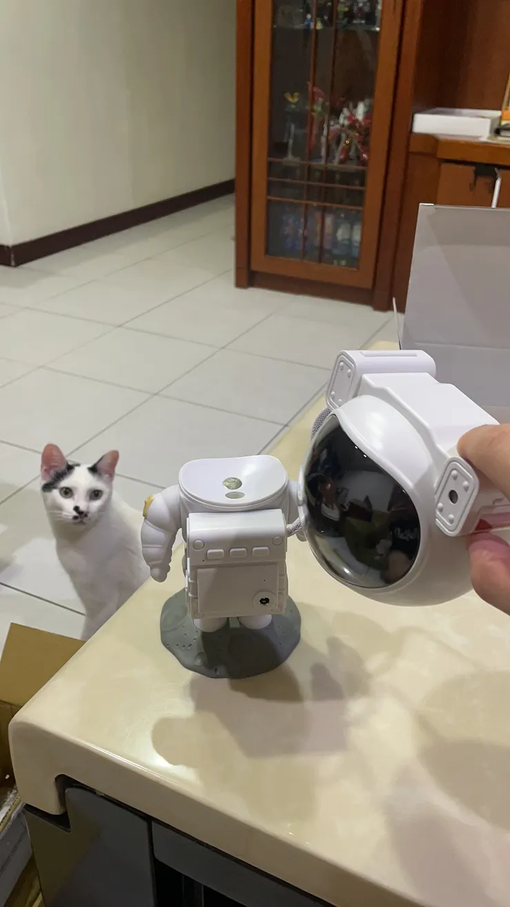 磁吸式設計,頭被拔下來嚇到貓貓了