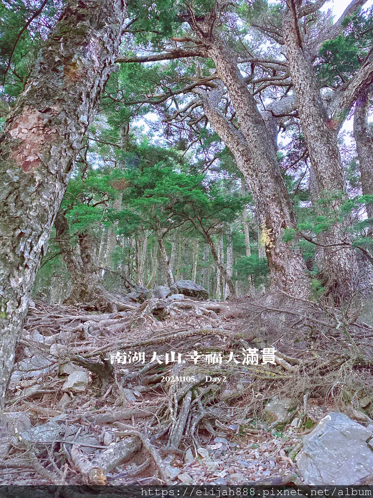 【帝王之山4天3夜】南湖大山雲海.聖稜線吃到飽之審馬陣山/南