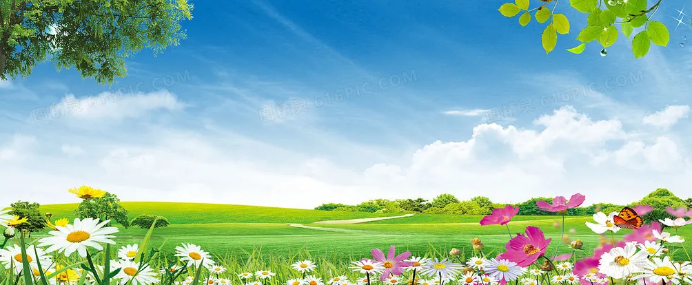 松的水珠露語   沙龍