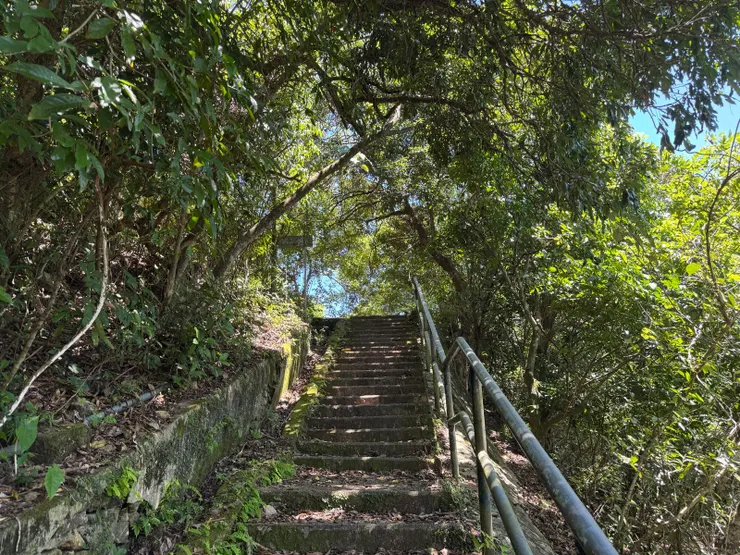 看到樓梯走上去