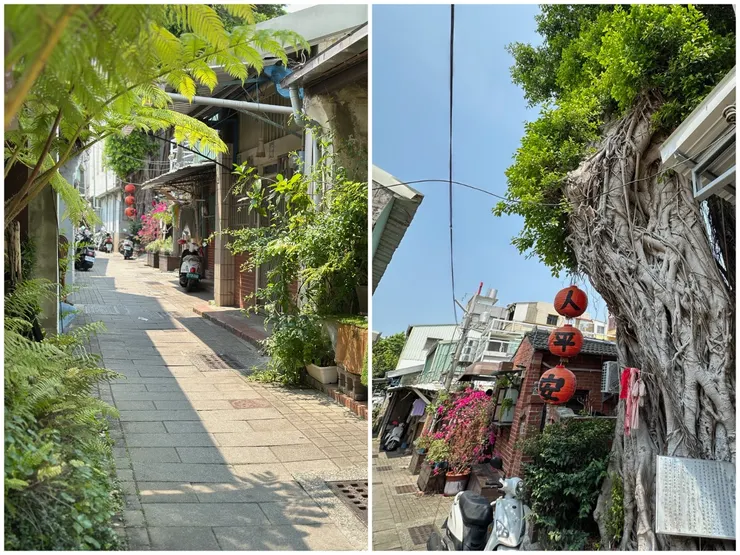 三百多歲的樹王公(右圖)，是安平在地居民的守護神