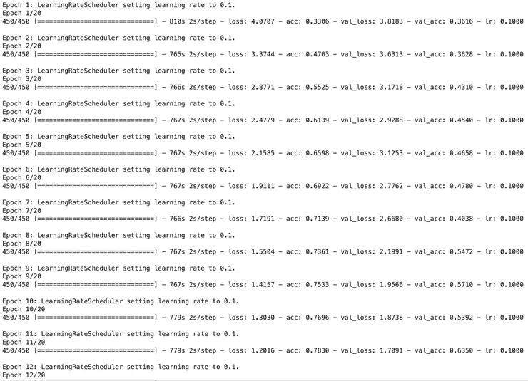 前12個epoch的訓練紀錄