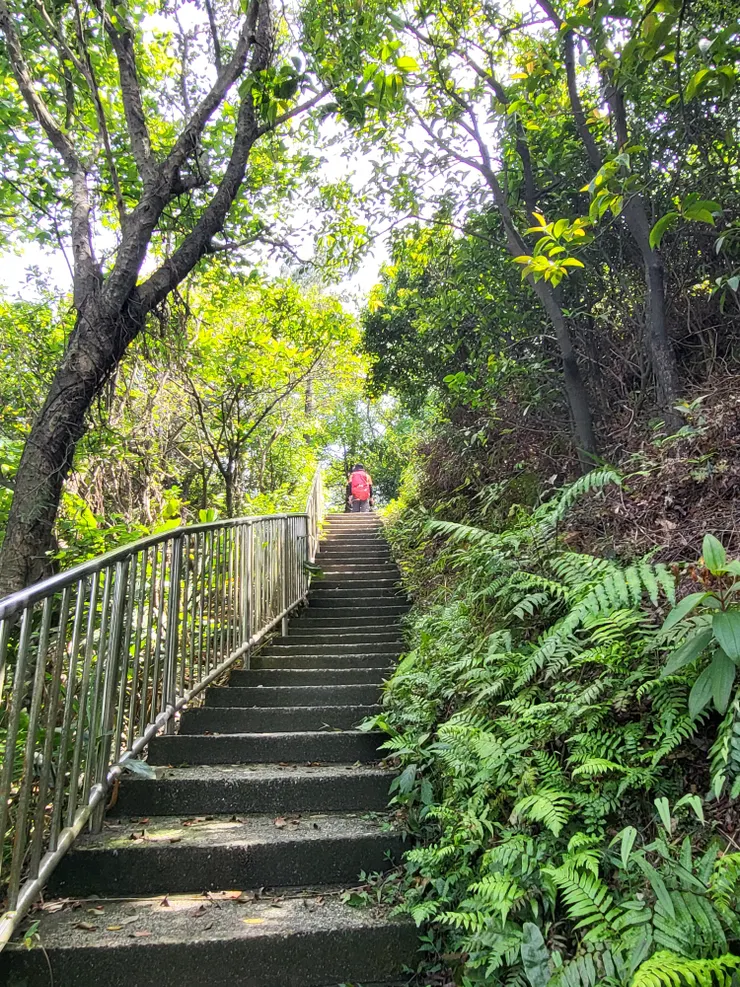 ▲13:30來到康福宮，由左邊階梯續行往紅龍山前進。