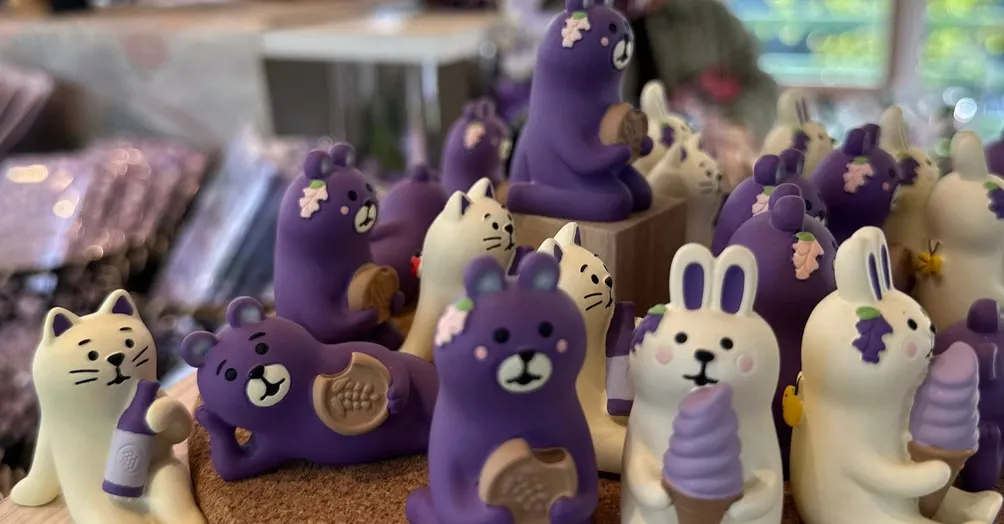 Cynthia－在微光中前行在靜默中盛開