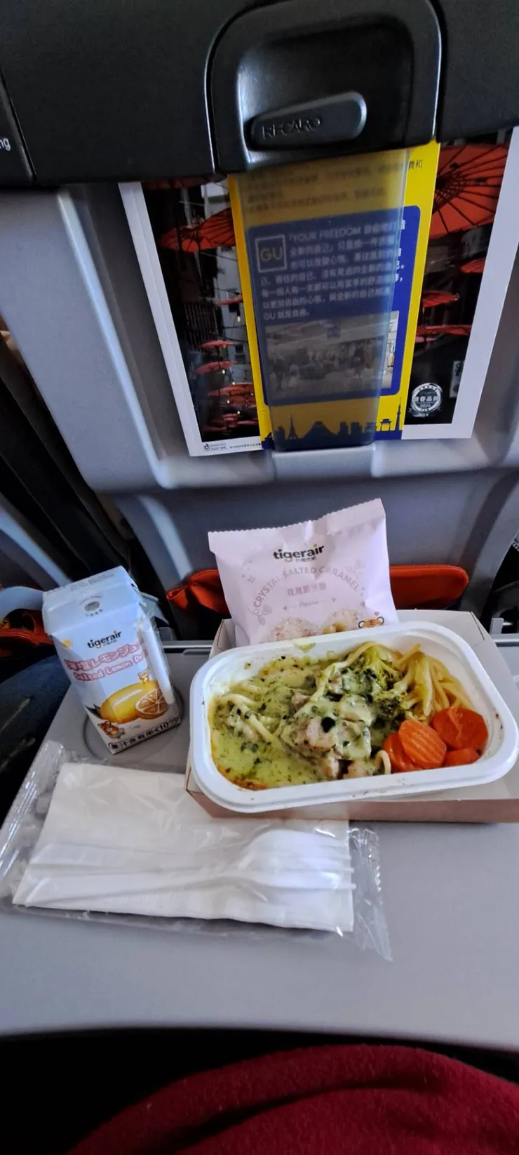 岡山回桃園的飛機餐是青醬義大利麵!