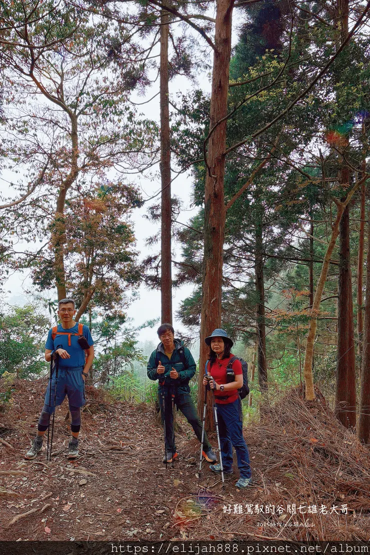 【谷關健行/住宿】谷關七雄老大。海拔2366公尺八仙山主峰。