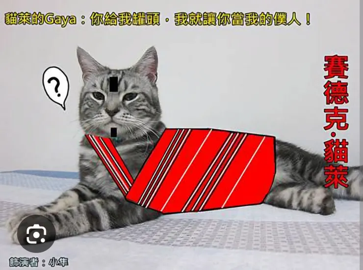 引自懸扶栗子.痞客邦