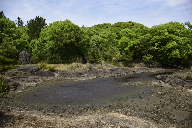 먼물깍 (Meonmulkkak) 濕地，먼물 是「遠處的水」，깍 是「盡頭」，地名生動地描寫濕地與村莊的距離。