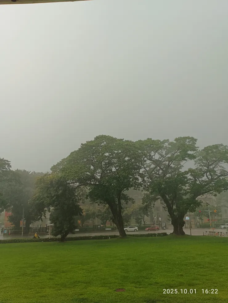 依約（隱約意）情懷驚暗換