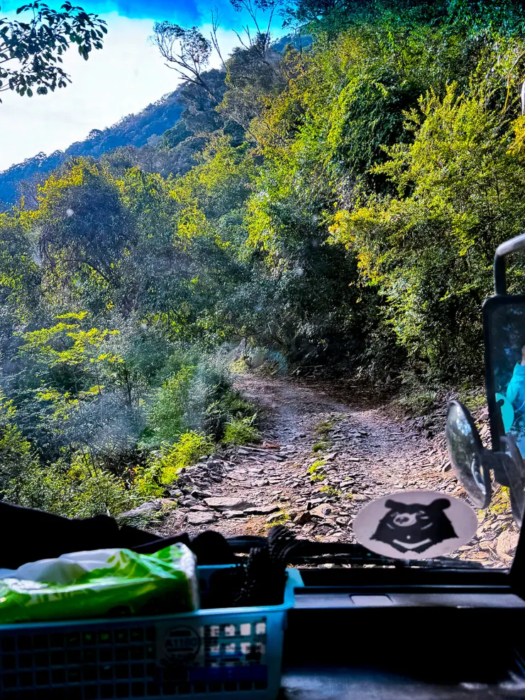 下山的路又臭又長,但被山林治癒的心快樂又舒暢~