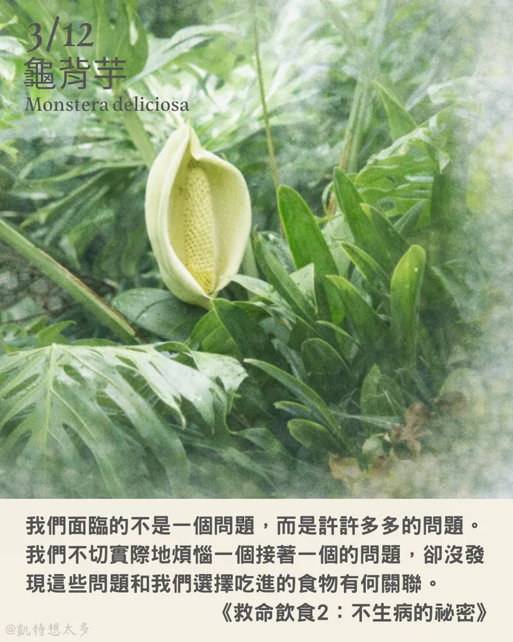 3 月 12 日｜龜背芋×T．柯林．坎貝爾博士 vs. 霍華．賈可布森《救命飲食2：不生病的祕密》