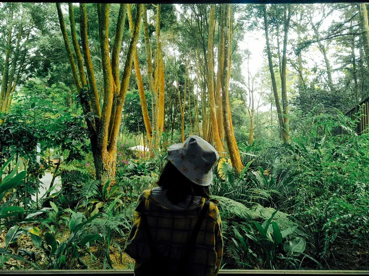 關於我的靈性旅程