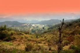 看得遠，看得寬