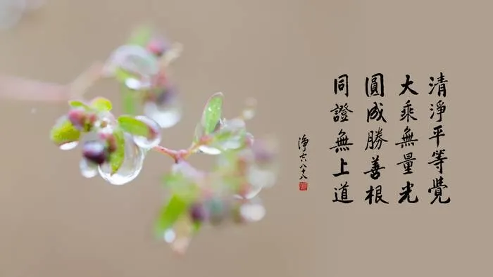 一向專念 阿彌陀佛 求生淨土