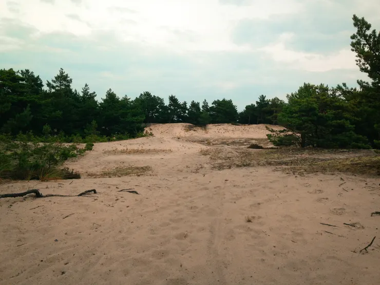 某些路段是軟軟的沙路~