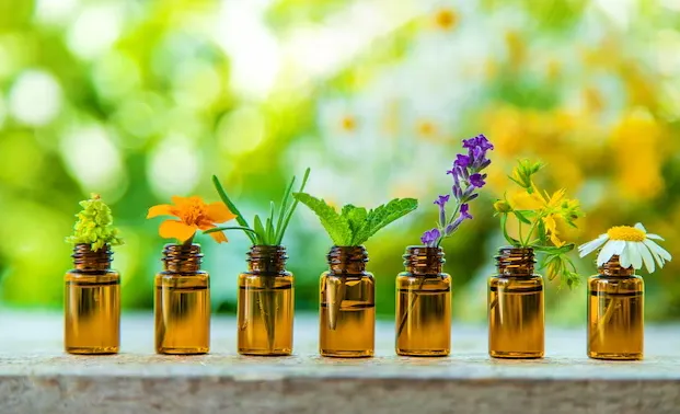 精油和基底油要肩並肩發揮最大作用